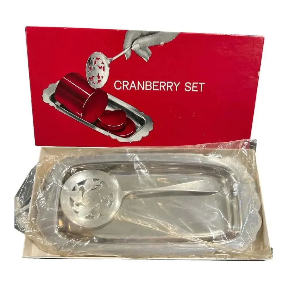 Vintage Cranberry Spoon Set WM. Rogers Silverplate Plate Original Box 10”